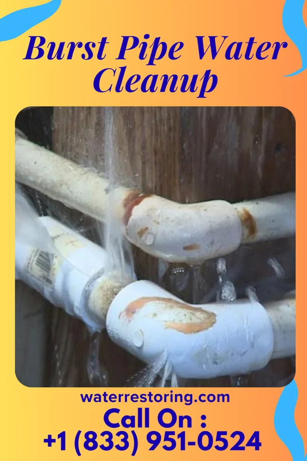 Burst Pipe Water Cleanup in Rushsylvania, OH