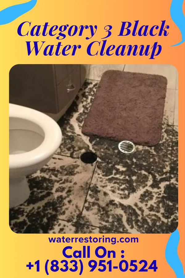 Category 3 Black Water Cleanup in Rushsylvania, OH