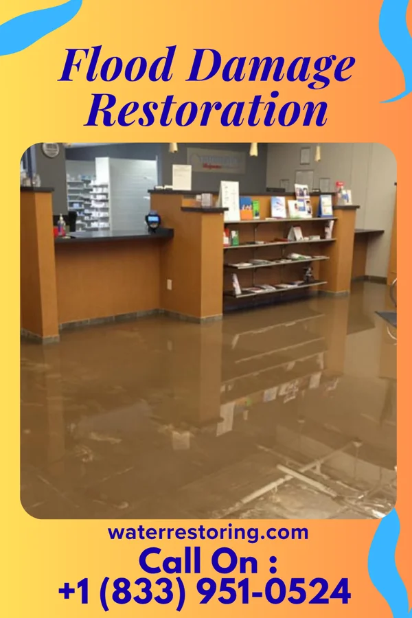 Flood Damage Restoration in Rushsylvania, OH