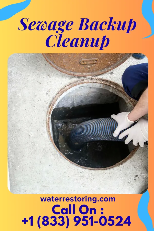 Sewage Backup Cleanup in Rushsylvania, OH