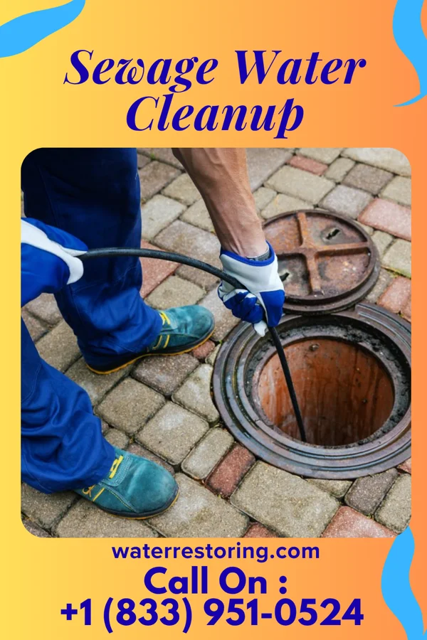 Sewage Water Cleanup in Rushsylvania, OH