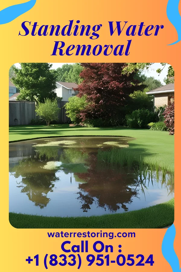 Standing Water Removal in Rushsylvania, OH